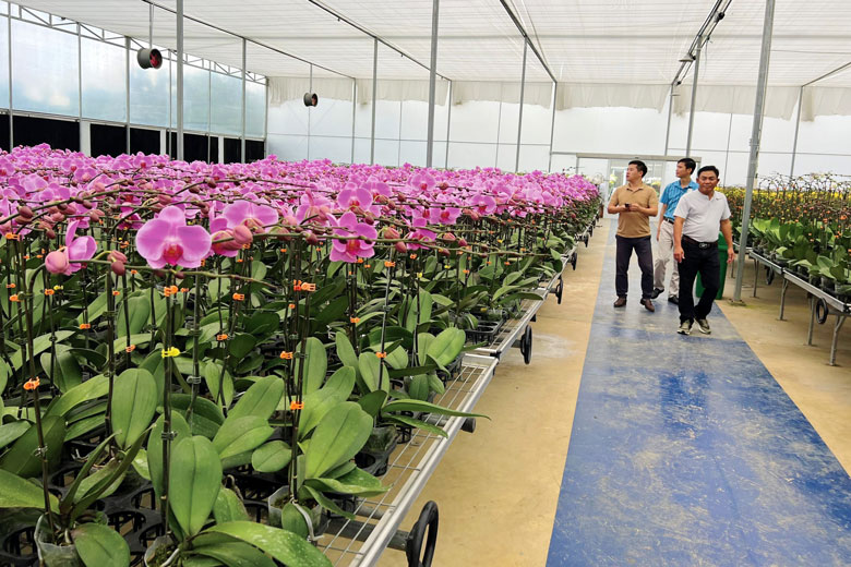 Phát triển nông nghiệp bền vững đến năm 2030: Những giải pháp chiến lược
