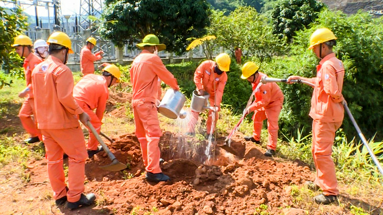 Cán bộ, công nhân viên Công ty trồng cây hưởng ứng nhân Ngày Môi trường thế giới
