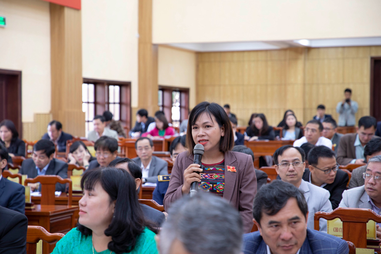 Đại biểu HĐND tỉnh chất vấn các vấn đề liên quan đến lĩnh vực nông nghiệp và phát triển nông thôn