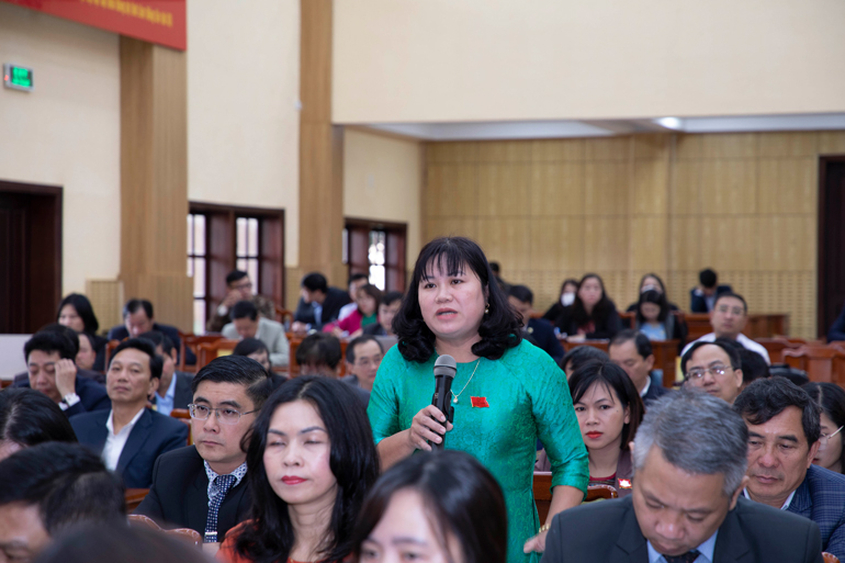 Đại biểu chất vấn liên quan đến lĩnh vực tài nguyên và môi trường