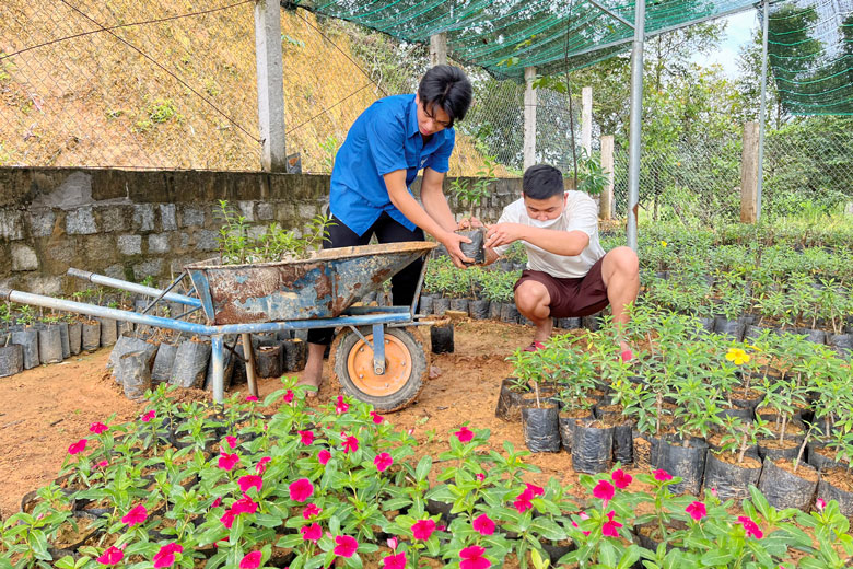 Nâng cao chất lượng công tác phát triển Ðảng trong thanh niên nông thôn (bài 2)
