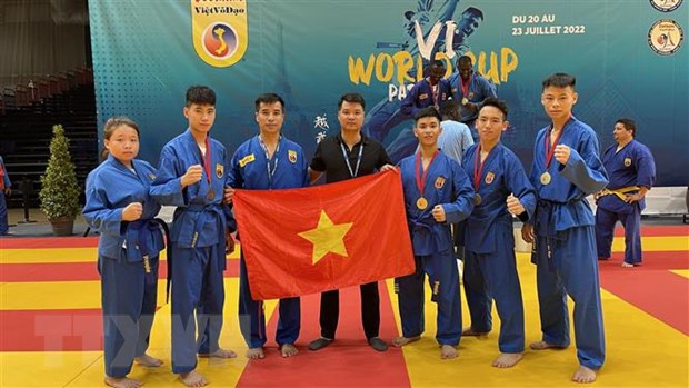 Sôi động giải vô địch thế giới Vovinam - Việt Võ Đạo tại Pháp