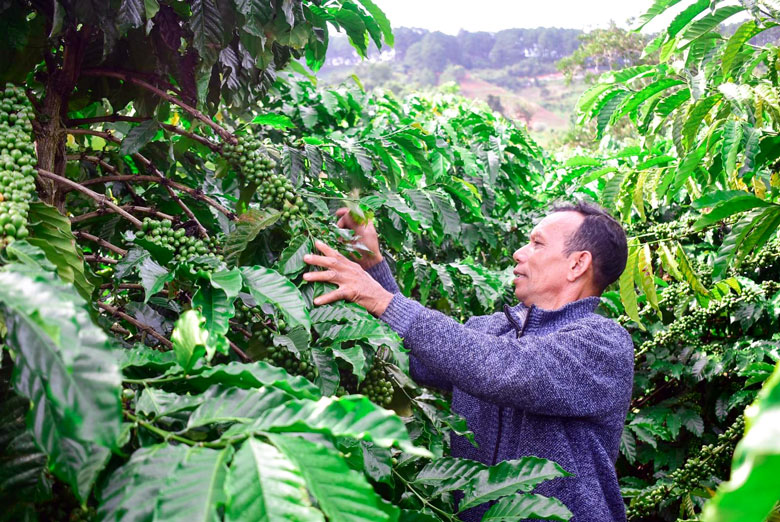 Những chuyển biến kinh tế tích cực ở xã Tà Nung