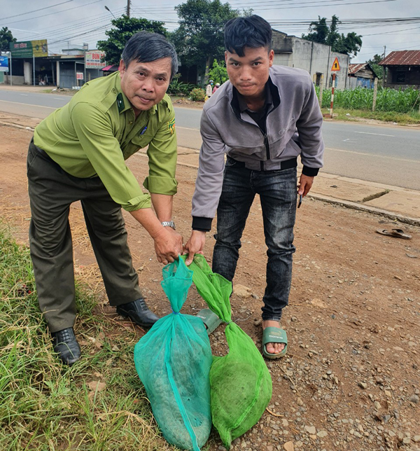 Bàn giao 2 cá thể tê tê cho vườn Quốc gia Cát Tiên