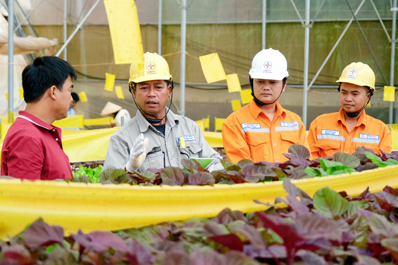 Nỗ lực tiết kiệm điện trong sản xuất nông nghiệp