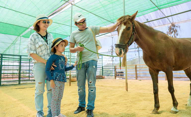 Các bé thích thú với mô hình nghỉ dưỡng tại Trang trại du lịch canh nông Đạ Lạch Noah