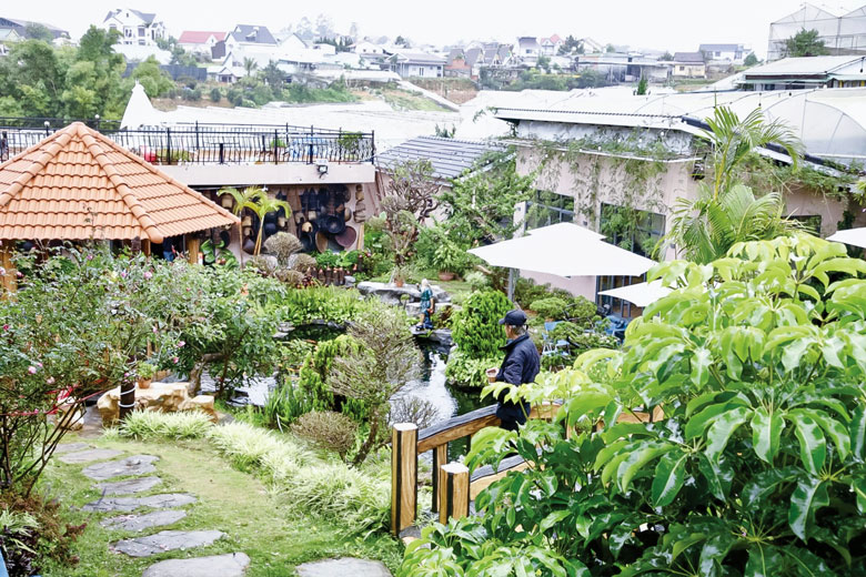Cà phê Miền Ký Ức - điểm đến của người yêu hồn xưa, nét cũ