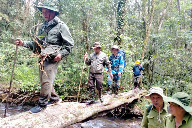 Cùng nhau vượt qua suối