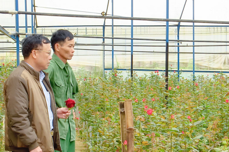 Cựu chiến binh giúp nhau phát triển kinh tế