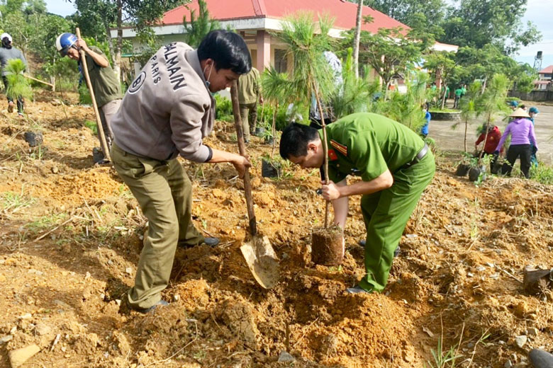 Bảo Lộc: Đã trồng trên 230.000 cây xanh, cây phân tán