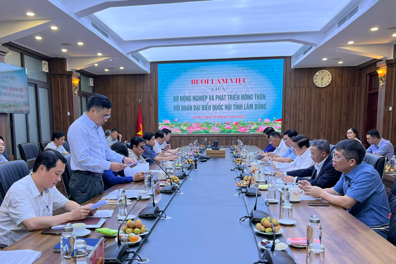 Chú trọng công tác xây dựng pháp luật