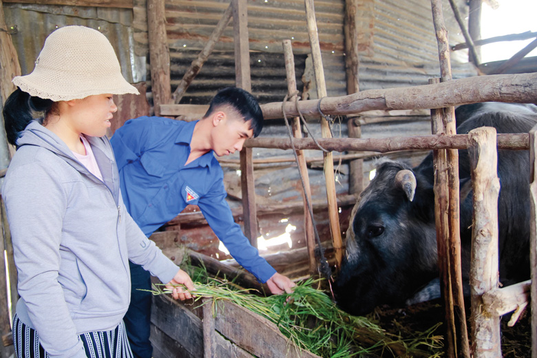 Vai trò của Đoàn Thanh niên trong triển khai nguồn vốn chính sách