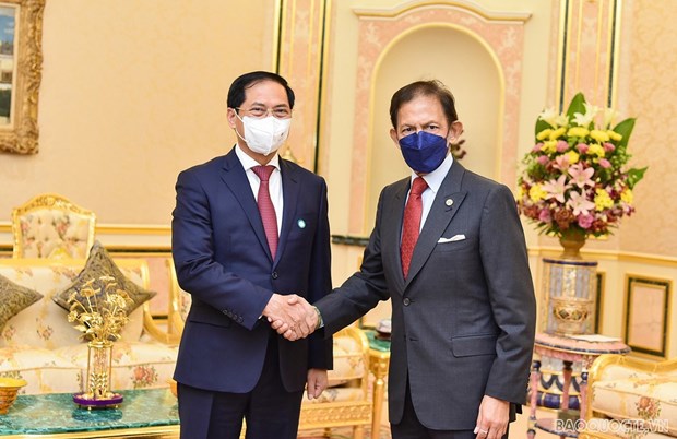 Quốc vương Brunei: Việt Nam là bạn và là đối tác quan trọng ở khu vực