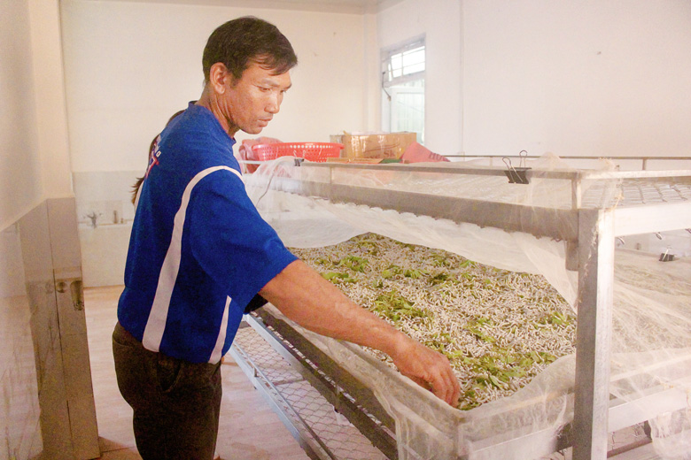 Hiệu quả ở một chi hội nghề nghiệp