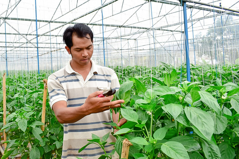 Để vùng đồng bào dân tộc thiểu số phát triển bền vững