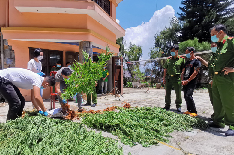 Cần nâng cao hiệu quả công tác cai nghiện và quản lý sau cai nghiện ma túy