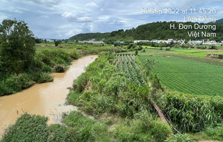 Phía hạ lưu cầu Ka Đô, người dân đang canh tác hoa màu cạnh dòng sông