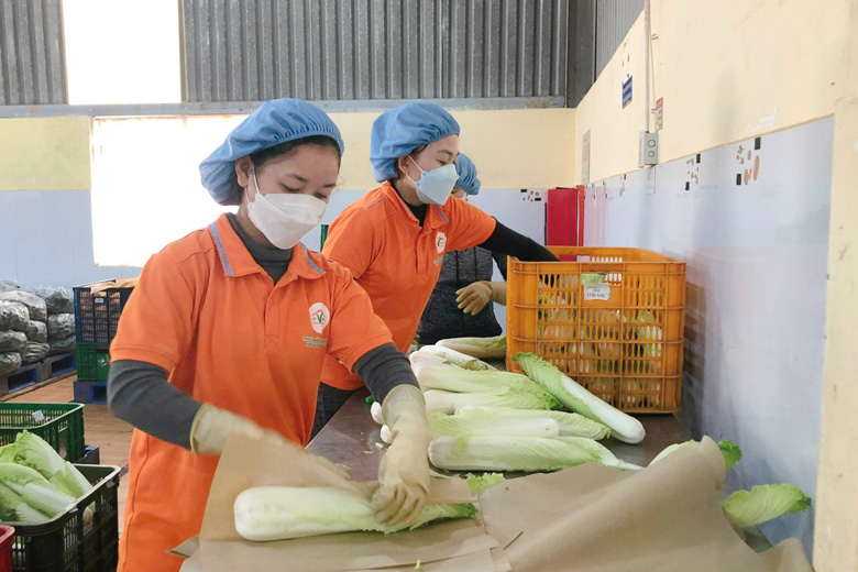 Thành lập công đoàn ở doanh nghiệp 15 tuổi