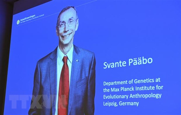 Nobel Y sinh tôn vinh phát hiện về quá trình tiến hóa của loài người