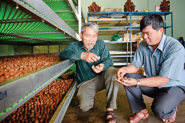Cựu chiến binh tỏa sáng giữa đời thường
