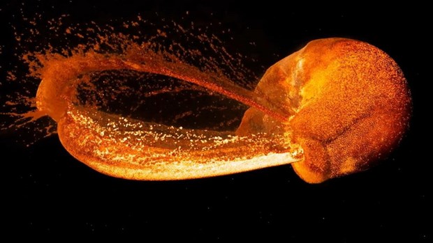 Trong một nghiên cứu sử dụng siêu máy tính, NASA đã công bố một video mô phỏng "Mặt Trăng được hình thành chỉ trong vài giờ sau vụ va chạm của các hành tinh.