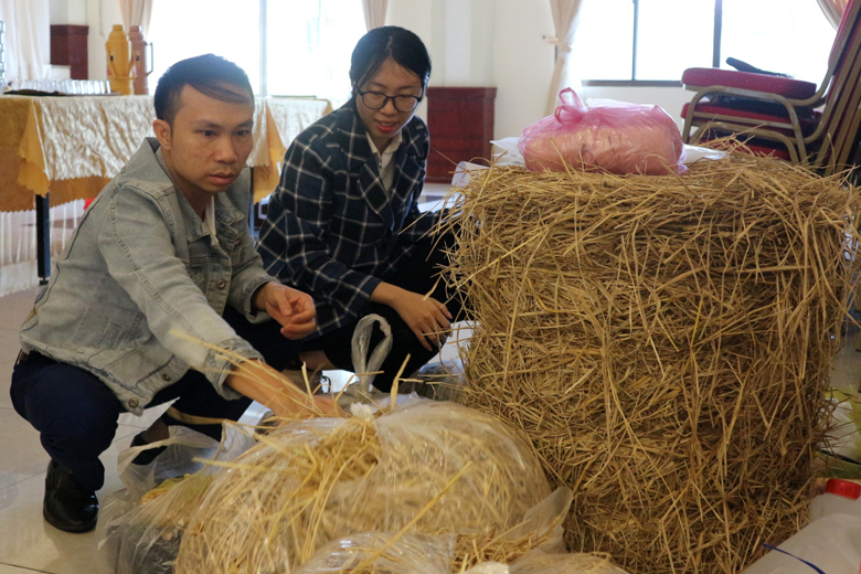 Kiểm tra phụ phẩm nông nghiệp dùng ủ phân hữu cơ