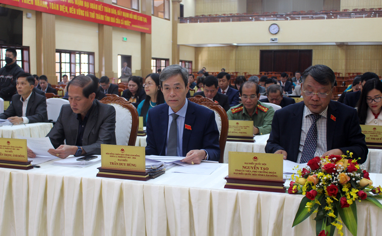 Các Đại biểu tham dự kỳ họp