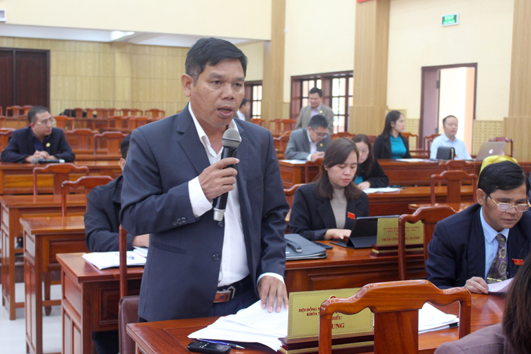 Đại biểu HĐND tỉnh phát biểu thảo luận