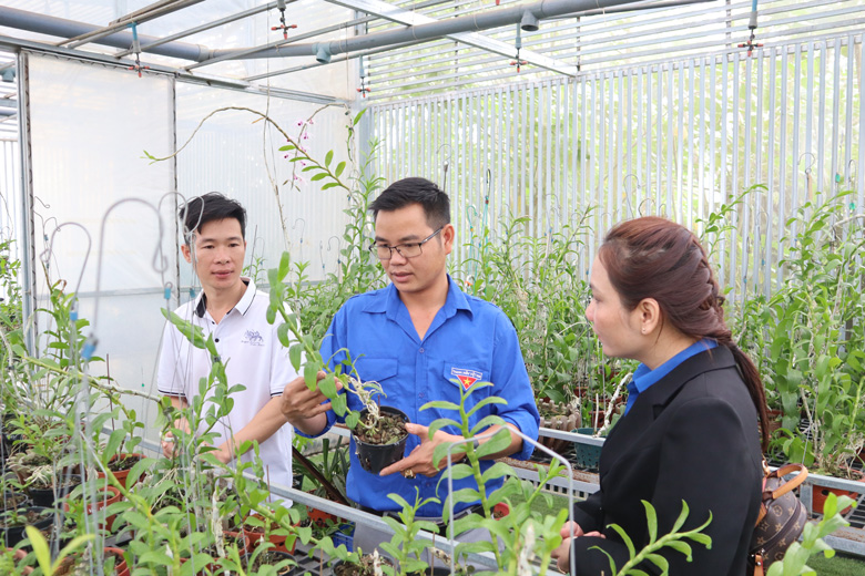 Đồng hành cùng thanh niên khởi nghiệp, lập nghiệp