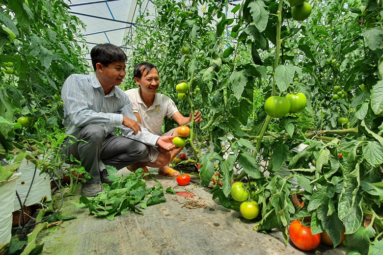 Giải pháp phát triển nguồn nhân lực ở Đam Rông