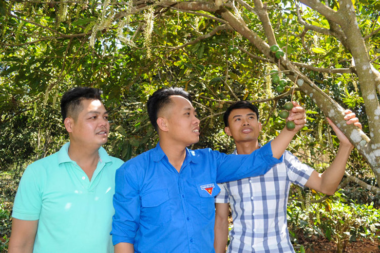 Lâm Hà đang tập trung nguồn lực phát triển nông nghiệp công nghệ cao đối với các sản phẩm chủ lực của huyện như cà phê, rau, hoa, chè, cây đặc sản...