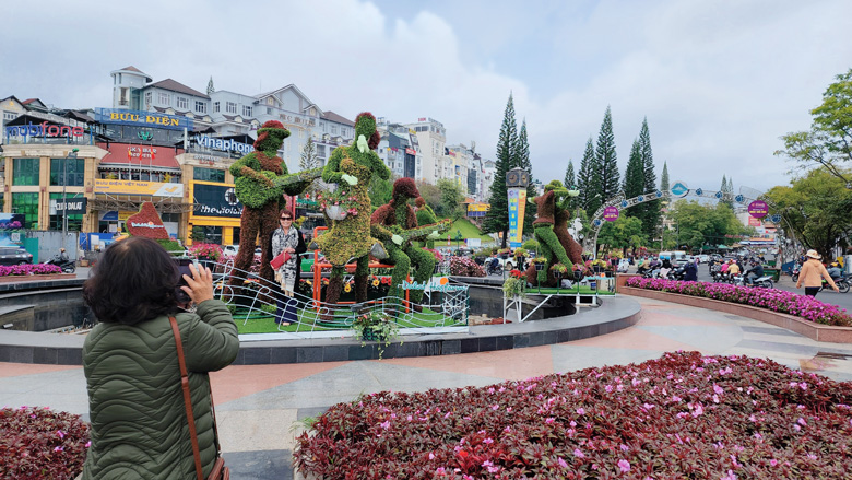 Phố núi sẵn sàng vào hội hoa