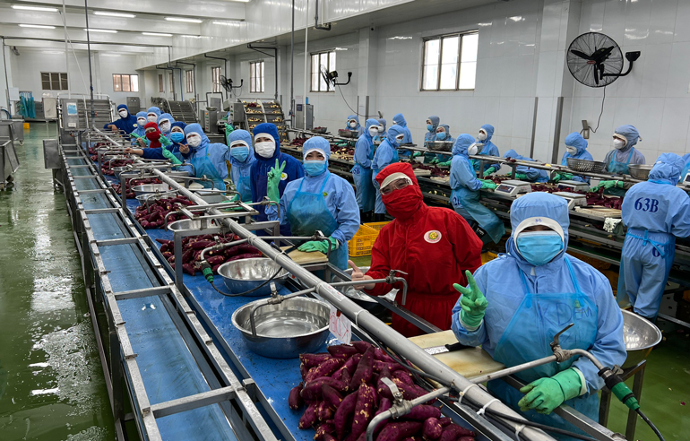 86 công nhân thi tay nghề về nông nghiệp