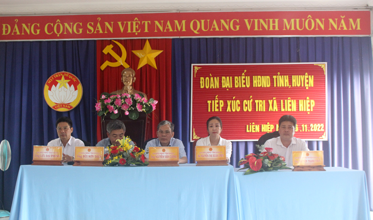Tổ đại biểu HĐND tỉnh tiếp xúc cử tri xã Hiệp An, Liên Hiệp
