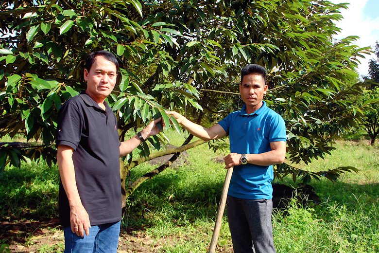 Phát huy vai trò đảng viên trong vùng đồng bào DTTS