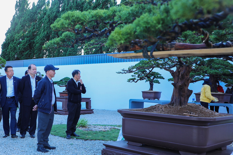 Thăm vườn bonsai