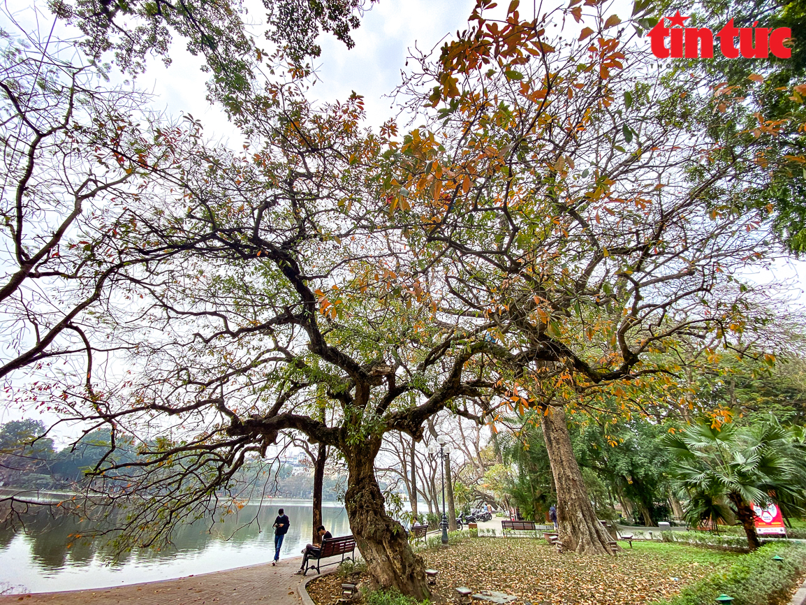 Thời tiết ngày 24/12: Bắc Bộ sáng sớm có nơi có sương mù, trời rét