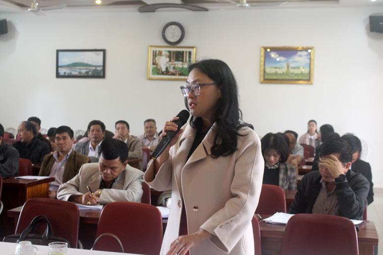 Các đại biểu phát biểu tại hội nghị